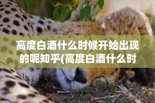 高度白酒什么时候开始出现的呢知乎(高度白酒什么时候开始出现的呢知乎视频)