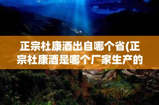 正宗杜康酒出自哪个省(正宗杜康酒是哪个厂家生产的)