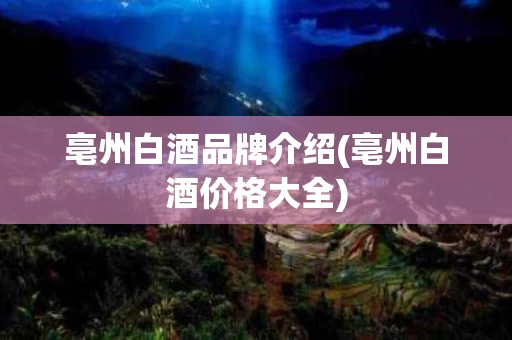 亳州白酒品牌介绍(亳州白酒价格大全)