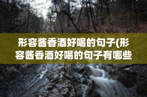 形容酱香酒好喝的句子(形容酱香酒好喝的句子有哪些)