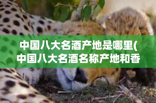 中国八大名酒产地是哪里(中国八大名酒名称产地和香型)