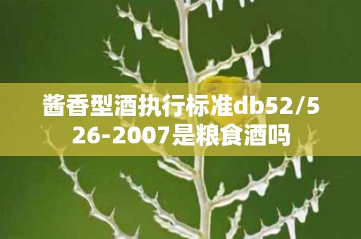 酱香型酒执行标准db52/526-2007是粮食酒吗