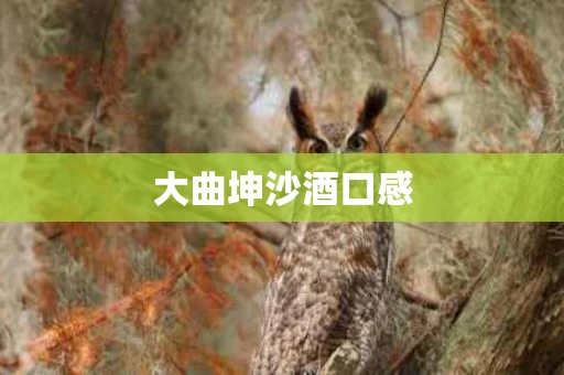 大曲坤沙酒口感