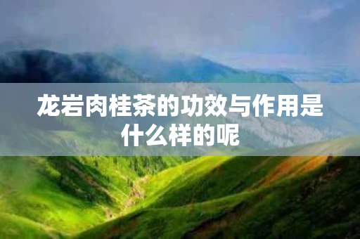 龙岩肉桂茶的功效与作用是什么样的呢
