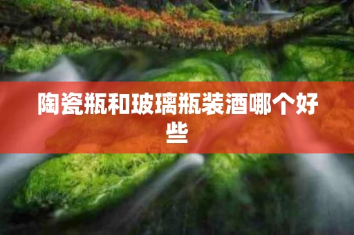 陶瓷瓶和玻璃瓶装酒哪个好些