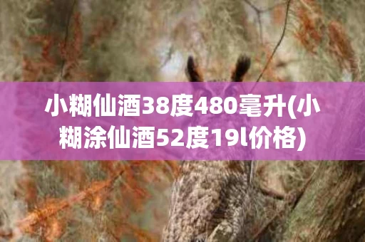 小糊仙酒38度480毫升(小糊涂仙酒52度19l价格)