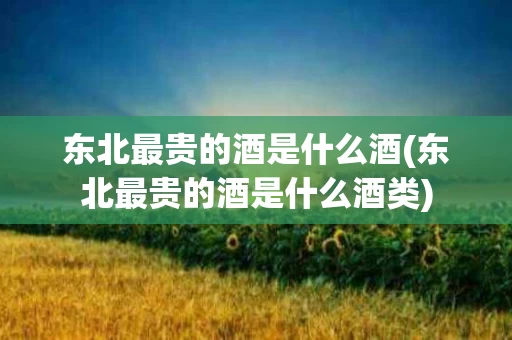 东北最贵的酒是什么酒(东北最贵的酒是什么酒类)