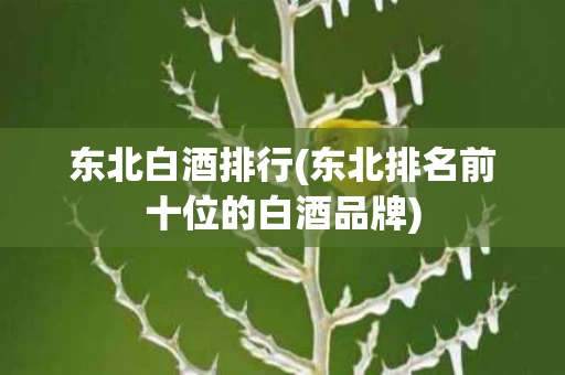 东北白酒排行(东北排名前十位的白酒品牌)