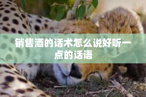 销售酒的话术怎么说好听一点的话语