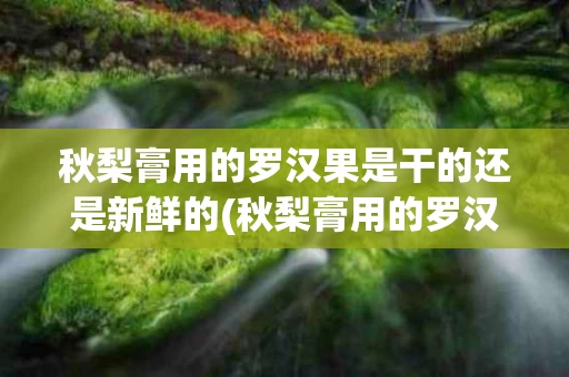 秋梨膏用的罗汉果是干的还是新鲜的(秋梨膏用的罗汉果是干的还是新鲜的呢)