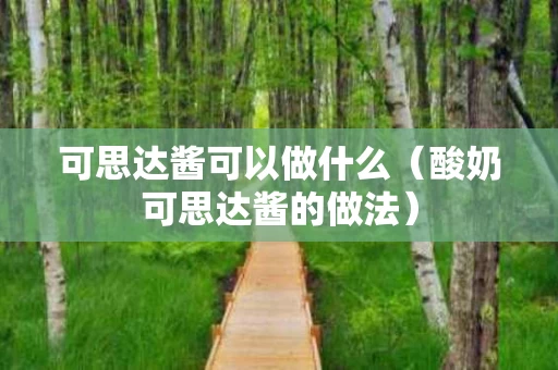 可思达酱可以做什么（酸奶可思达酱的做法）