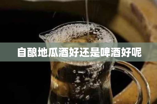 自酿地瓜酒好还是啤酒好呢