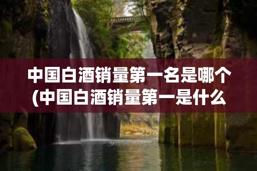 中国白酒销量第一名是哪个(中国白酒销量第一是什么品牌)