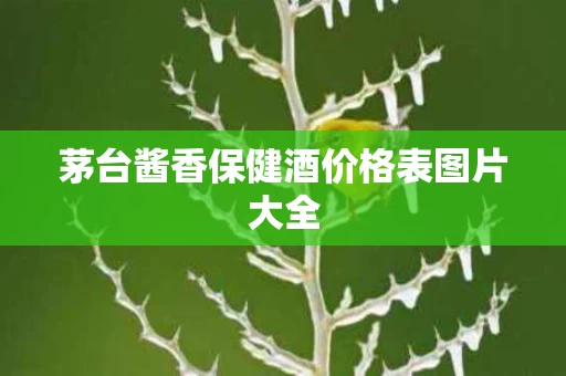 茅台酱香保健酒价格表图片大全
