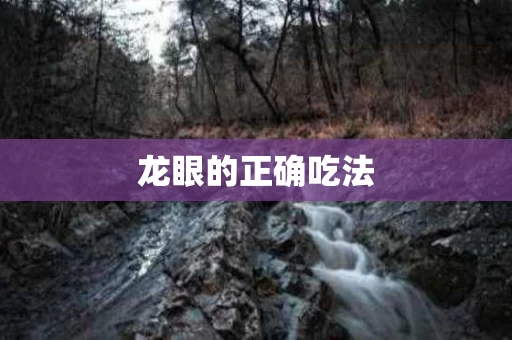 龙眼的正确吃法