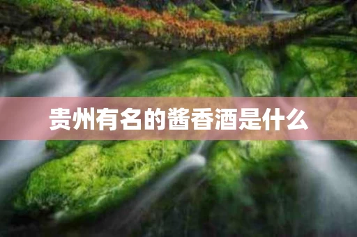 贵州有名的酱香酒是什么