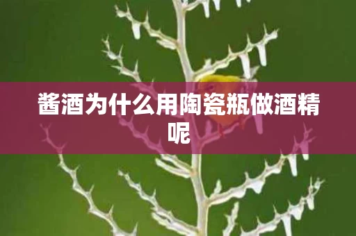 酱酒为什么用陶瓷瓶做酒精呢