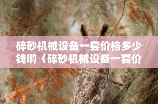碎砂机械设备一套价格多少钱啊（碎砂机械设备一套价格多少钱啊）