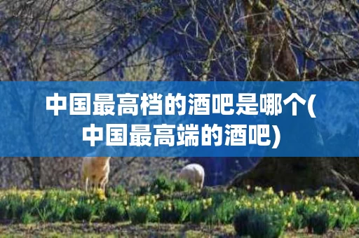 中国最高档的酒吧是哪个(中国最高端的酒吧)