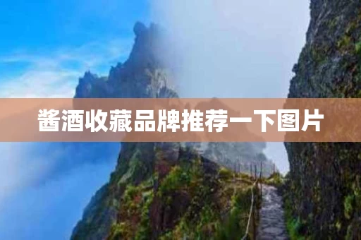 酱酒收藏品牌推荐一下图片