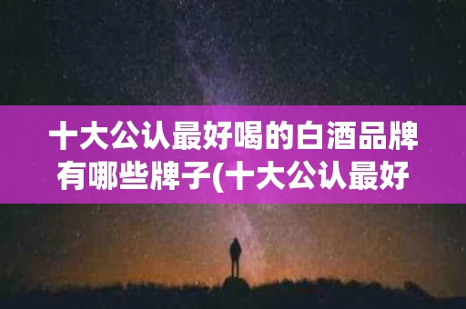 十大公认最好喝的白酒品牌有哪些牌子(十大公认最好喝的白酒品牌有哪些牌子图片)