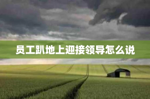 员工趴地上迎接领导怎么说