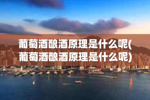 葡萄酒酿酒原理是什么呢(葡萄酒酿酒原理是什么呢)