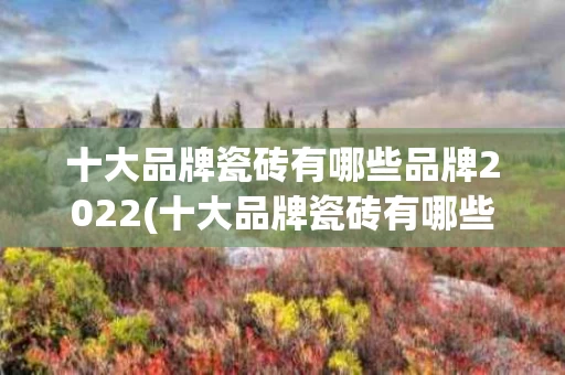 十大品牌瓷砖有哪些品牌2022(十大品牌瓷砖有哪些品牌排名)