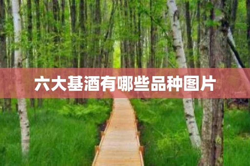 六大基酒有哪些品种图片