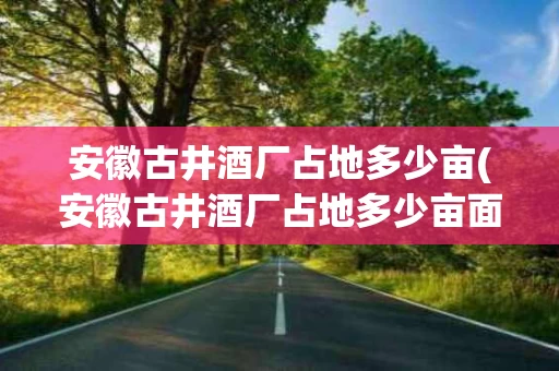 安徽古井酒厂占地多少亩(安徽古井酒厂占地多少亩面积)