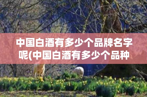 中国白酒有多少个品牌名字呢(中国白酒有多少个品种)