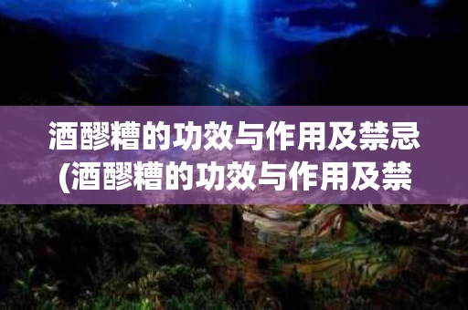 酒醪糟的功效与作用及禁忌(酒醪糟的功效与作用及禁忌是什么)