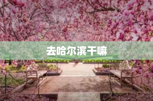 去哈尔滨干嘛