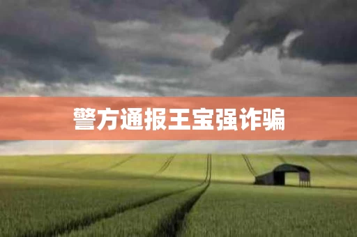 警方通报王宝强诈骗