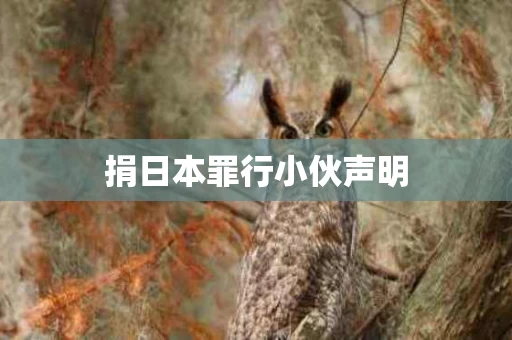 捐日本罪行小伙声明