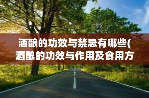 酒酿的功效与禁忌有哪些(酒酿的功效与作用及食用方法)