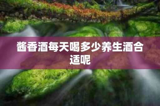 酱香酒每天喝多少养生酒合适呢