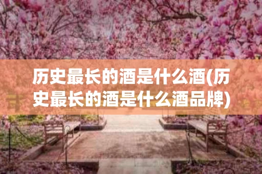 历史最长的酒是什么酒(历史最长的酒是什么酒品牌)