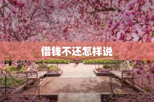 借钱不还怎样说