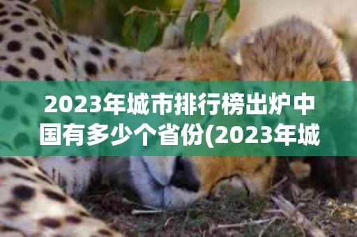2023年城市排行榜出炉中国有多少个省份(2023年城市排行榜出炉中国有多少个省份呢)