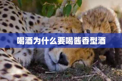 喝酒为什么要喝酱香型酒