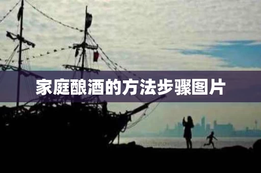 家庭酿酒的方法步骤图片