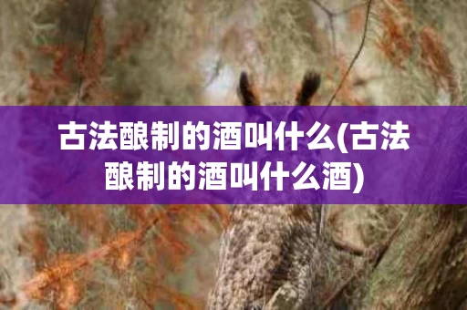 古法酿制的酒叫什么(古法酿制的酒叫什么酒)
