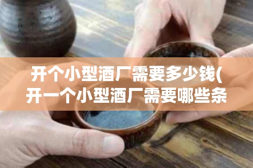 开个小型酒厂需要多少钱(开一个小型酒厂需要哪些条件)