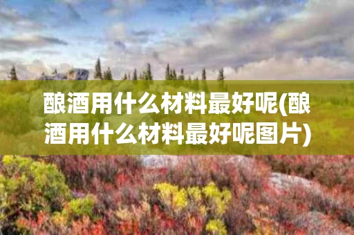 酿酒用什么材料最好呢(酿酒用什么材料最好呢图片)