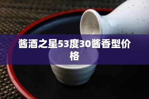 酱酒之星53度30酱香型价格