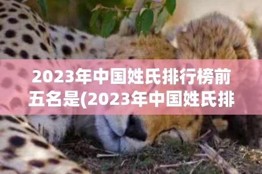 2023年中国姓氏排行榜前五名是(2023年中国姓氏排行榜前五名是哪几个)