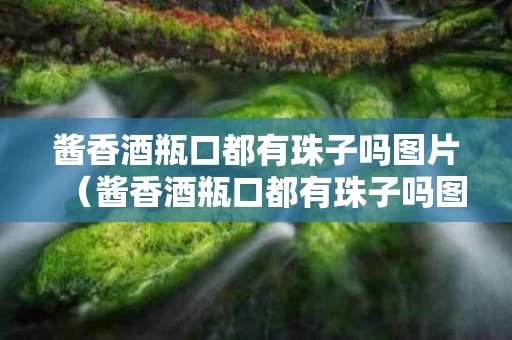 酱香酒瓶口都有珠子吗图片（酱香酒瓶口都有珠子吗图片大全）