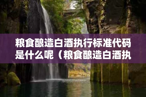 粮食酿造白酒执行标准代码是什么呢（粮食酿造白酒执行标准代码是什么呢英文）