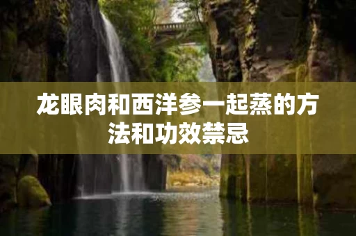 龙眼肉和西洋参一起蒸的方法和功效禁忌 龙眼肉和西洋参一起蒸的方法和功效禁忌